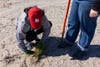 First-year student Roja Vanaparthi plants a grass plug on the beach in Louisiana.
